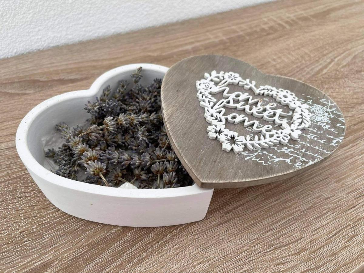 Kuca Za Odmor Bachus Villa Peroj Ngoại thất bức ảnh